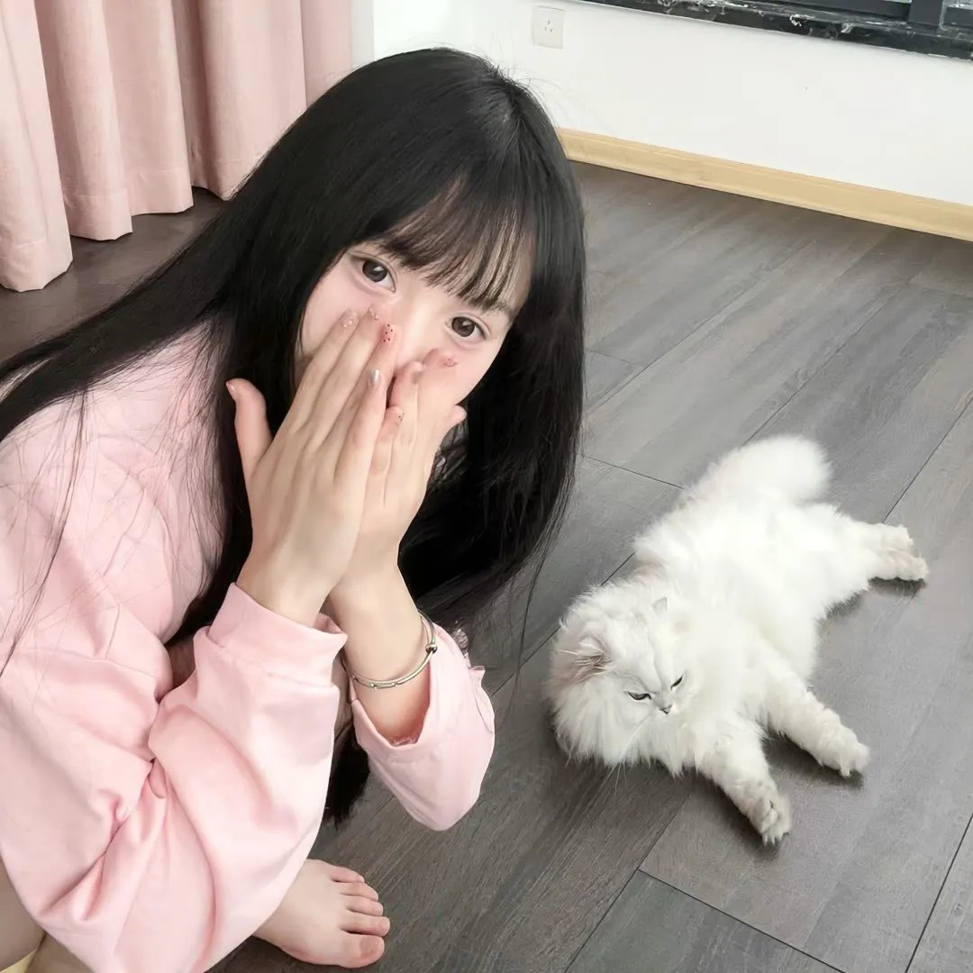 灵契第一季